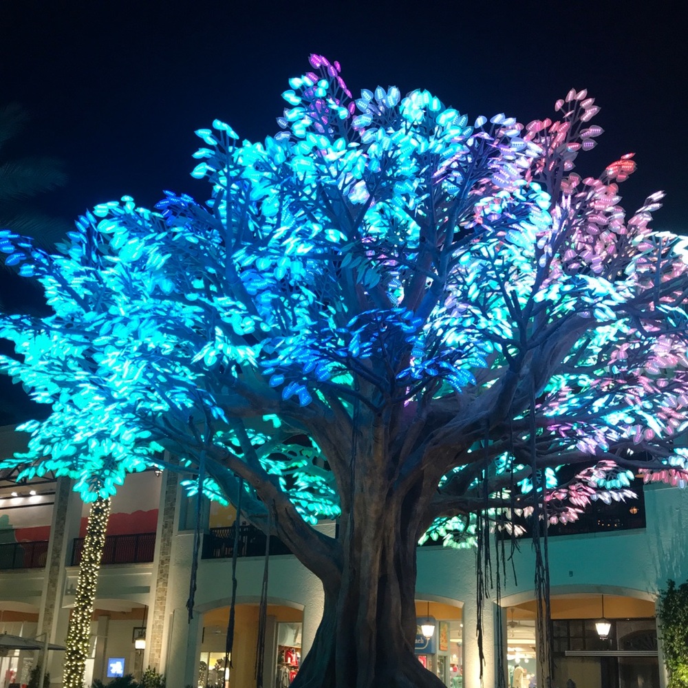 Meet your Posher, Dorinda